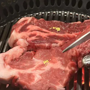 신도세기 사진