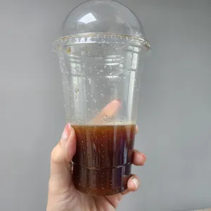 까페커피콩나무 사진