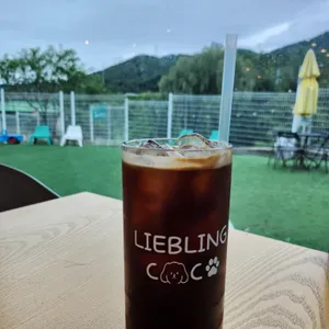 리블링코코 사진