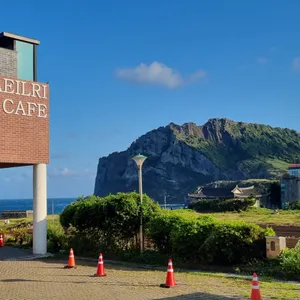 해일리 카페 리뷰 사진