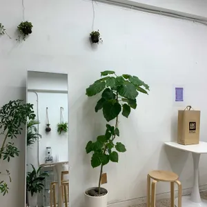 슈퍼플 아사이볼 리뷰 사진
