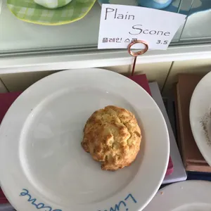 리미티드스콘 사진
