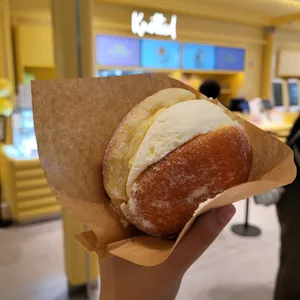 노티드 사진