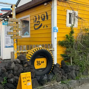 말이 리뷰 사진