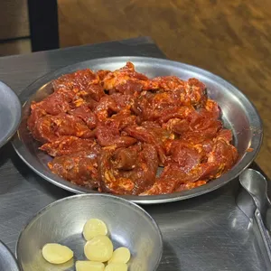 신마포갈매기 사진