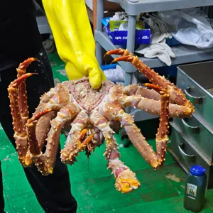 해신킹크랩 리뷰 사진