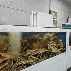 해신킹크랩 리뷰 사진