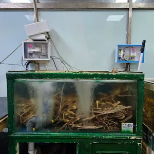 해신킹크랩 리뷰 사진