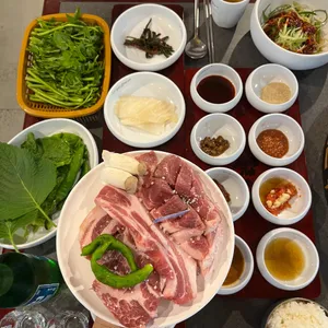 부산갈매기 사진