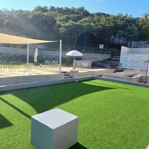 다츠도츠 리뷰 사진