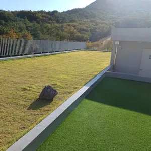 다츠도츠 리뷰 사진