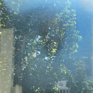 스타벅스 리뷰 사진