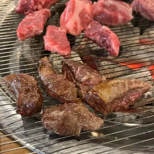 무아지경 사진