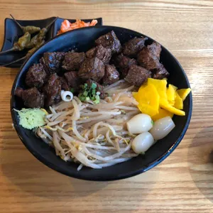 홍대개미 사진