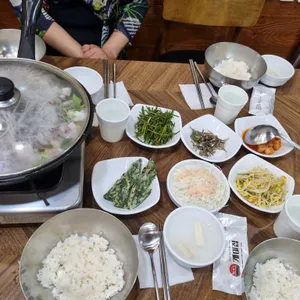 개미집 사진