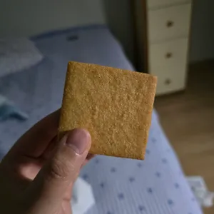 티크닉 사진