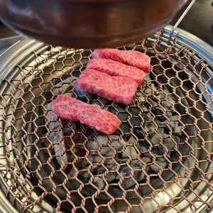 싱싱목장 사진