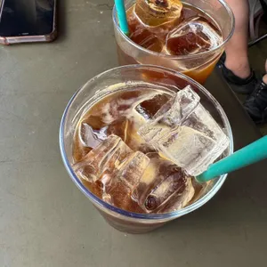 틸로스터스 사진