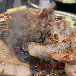 꺼멍도야지 사진