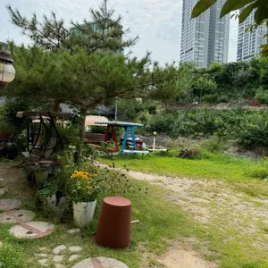 그리운보리밥 리뷰 사진