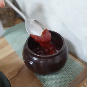 느티나무 사진