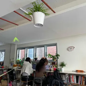 카페 파이프 리뷰 사진