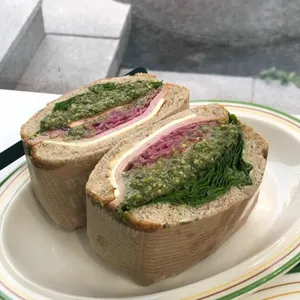 샌커 사진