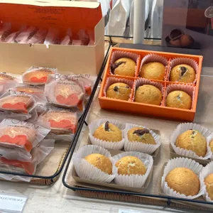 포븐 사진