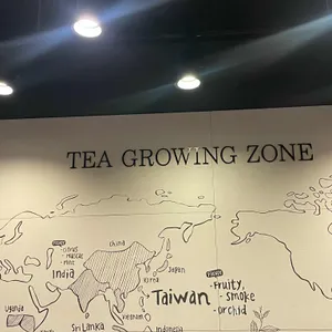 공차 리뷰 사진