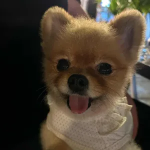 모리식탁 리뷰 사진