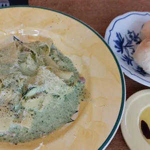 디미 사진