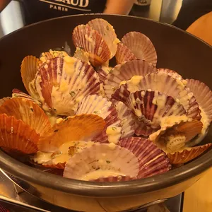 샤베리 사진