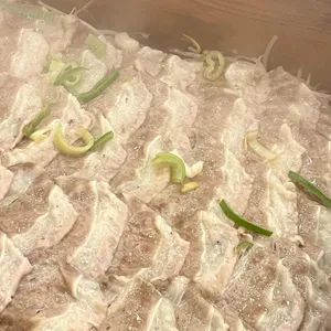 편백집 사진