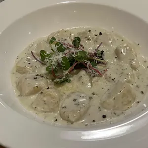 푸치니 사진