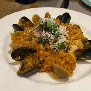 푸치니 사진