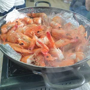 둘리왕새우 사진