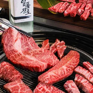우화 사진