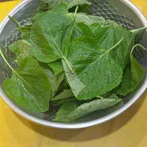 강남 닭한상 사진