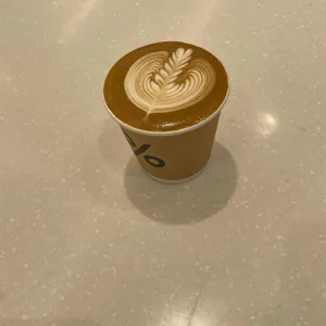 %아라비카 사진