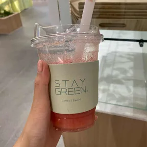스테이그린 사진