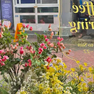 스테드 리뷰 사진