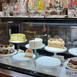 스테드 리뷰 사진