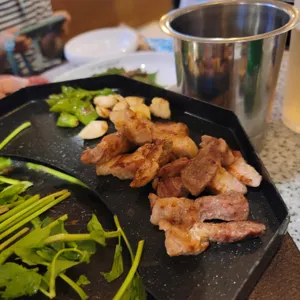 부산갈매기 사진