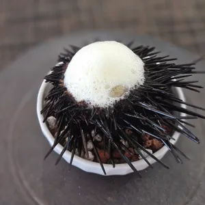 소공간 리뷰 사진