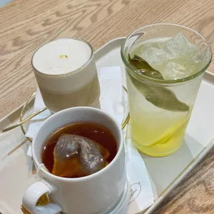 어나더미네스 사진