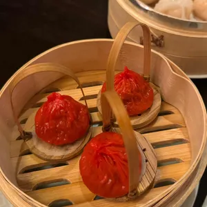 팔레드 신 사진