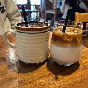 브론시스 사진