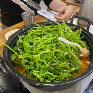 등촌샤브칼국수 사진