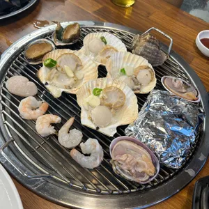 조개바다 사진