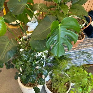 카페덕덕 대표 사진